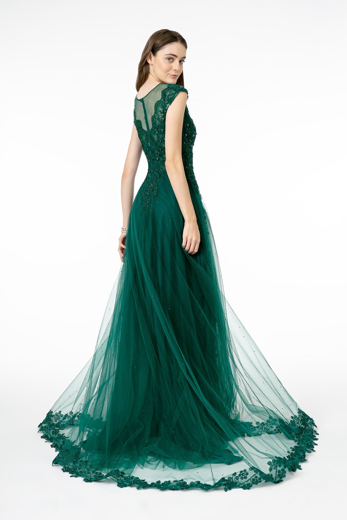 Embroidered Mesh A-Line w/ Sheer Back Long Prom Dress GLGL2882-3