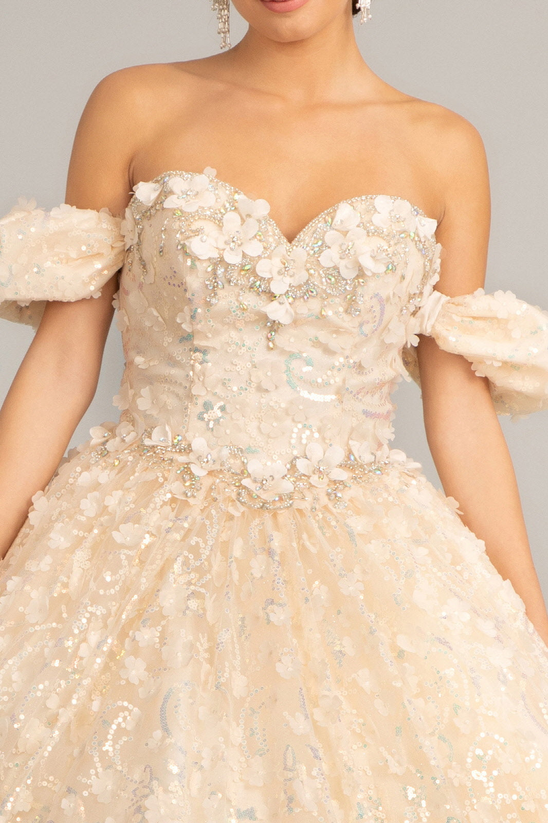 Jewel Embellished Quinceanera Mesh Gown w/ 3D Applique and Corset Bodice GLGL3019-3