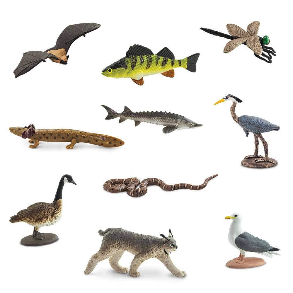 Great Lakes Toys TOOB®