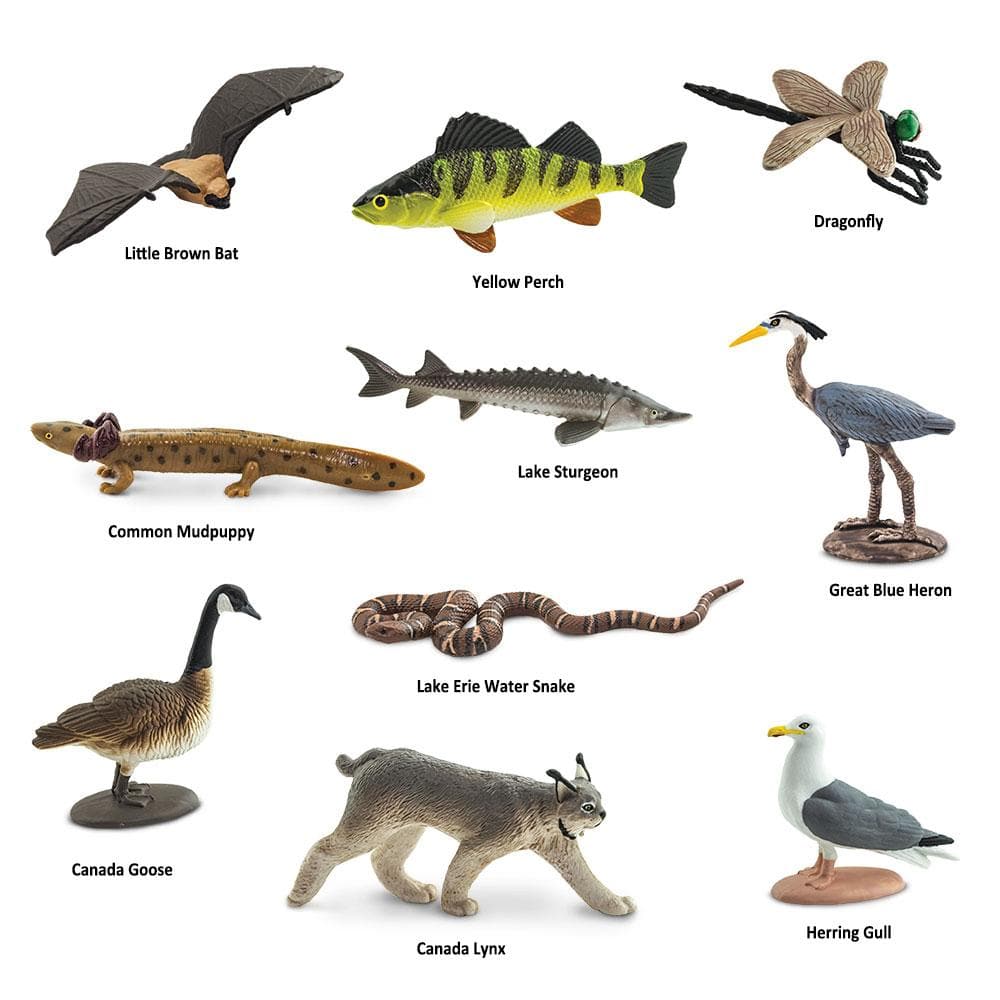 Great Lakes Toys TOOB®