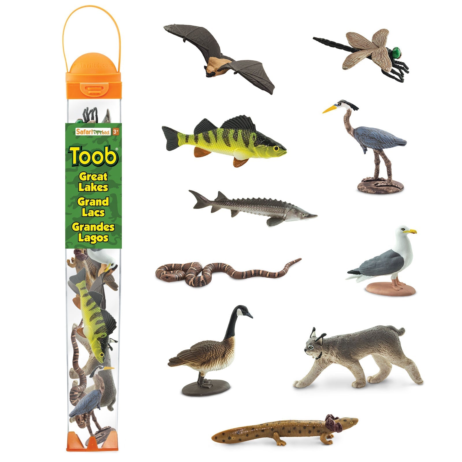 Great Lakes Toys TOOB®
