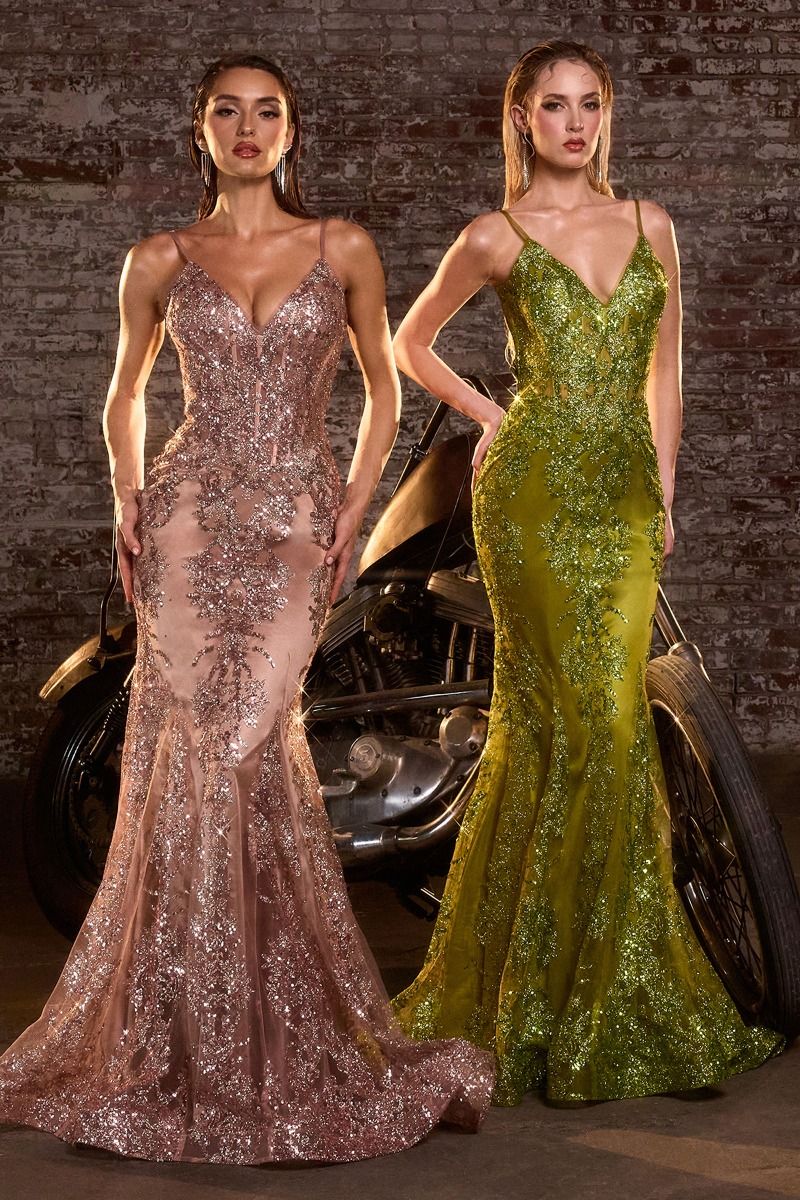 Luxury V-neck Gown with Sheer Corset & Floral Glitter Print CDJ810-6