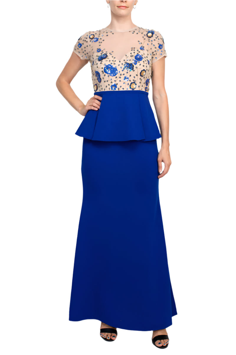 Aidan Mattox Crew Neck Short Sleeve Illusion Zipper Back Ruffled Embroidered Crepe Mesh Dress-0