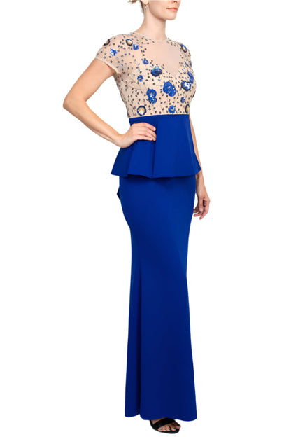 Aidan Mattox Crew Neck Short Sleeve Illusion Zipper Back Ruffled Embroidered Crepe Mesh Dress-1