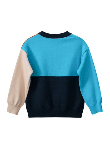 Baby Boy Color Patchwork Crew Neck Long Sleeve Knitwear Pullover