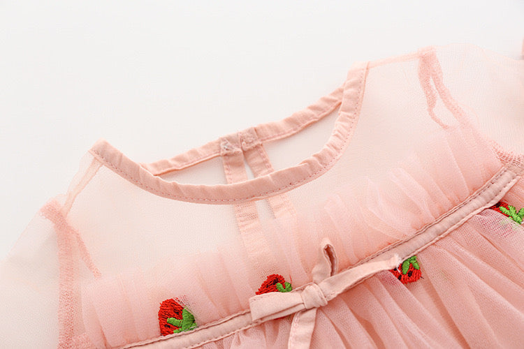 Baby Girl Strawberries Embroidered Mesh Overlay Design Bow Tie Patched Hundred Dress