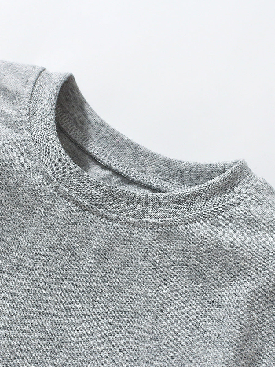 Arrival Autumn Kids’ Dinosaur Cartoon Pattern Appliqué Embroidery Long Sleeves T-Shirt In European And American Style For Summer-2