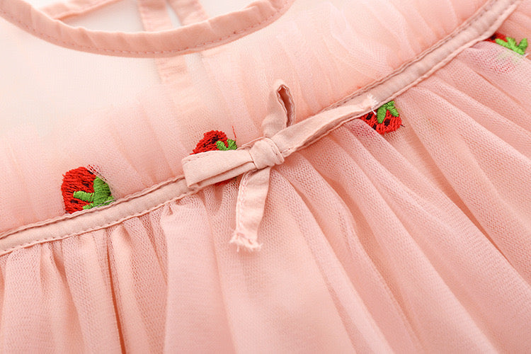 Baby Girl Strawberries Embroidered Mesh Overlay Design Bow Tie Patched Hundred Dress