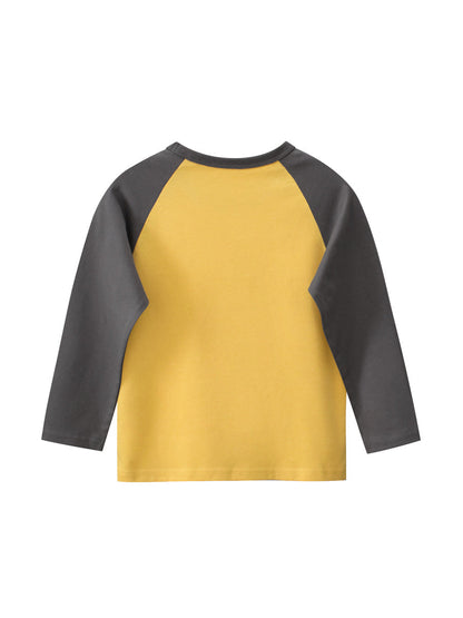 Autumn Baby Boys Cartoon Animals Friend Print Color Patchwork Long Sleeves Crew Neck Base Top Shirt