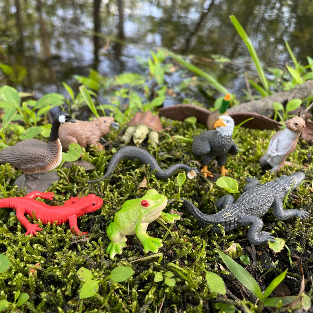 River Animal Toys TOOB®